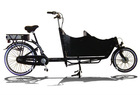 Electric Tricycle,Shimano Nexus 3 Speed! Transport Bicycle