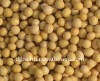 2012 new crop, soy beans,soybeans, soyabean,soja