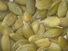 new crop chinese shine skin pumpkin seed kernels