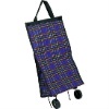 DC-671G SHOPPING CART & BAG