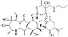 Tulathromycin 95%/97%