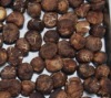 dried wild mushroom