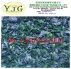 good price Frozen spinach factory export directly