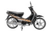 110cc Moped BL110-11