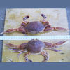 Frozen Portunus Haanii Crab