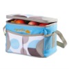 Cooler bag/Lunch bag/Ice bag