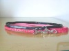 fashion long pet leash