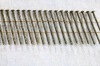 chisel point wire collated coil nail