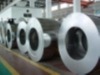 galvanized steel sheet in coils