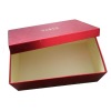 2012 Premium Custom shoe box