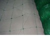 Plastic Cucumber Support Netting