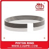 Molybdenum coated piston ring