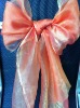 organza fabric/polyester and nylon shiny habijabi two-tone organza for decorations and evening-dress