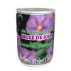 mini flower,canned plant, flower in tin