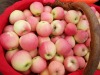 Fresh Gala Apple