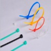 plastic cable tie