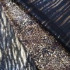 Shimmer Foil Fabric