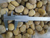 chestnut kernel 2012 new crop