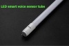 challenge price of smart LED Voice sensor tube from China