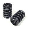 valve & seat spring