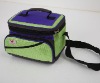 lunch cooler bag