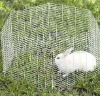 metal rabbit enclosure