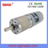 low speed high torque 12V dc gear motor