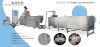 Nutritional/Extrued rice processing line