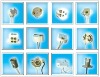 Types of lamp socket,G6.35 G4 GY9.5 G6.35 lamp holder,E11 BA15D O.T light ceramic socket lamp base