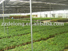 Delong Farm Plant