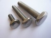 T type stainless steel screw