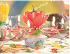 2012 Hot design Flower Turning musical candle fireworks