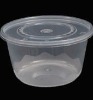 Transparent Medium Plastic Lunch Box