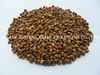 2012 new crop roasted buckwheat kernels