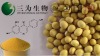 Soybean Extract, 10~80% Isoflavones