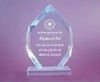 2013 hot sale High quality acrylic award