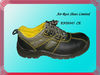 Basic low ankle safety shoes