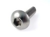 Hexagon lobular socket head cap screws