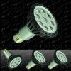 PAR30 LED High Power Spot