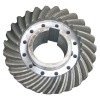 Bevel Gear