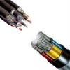 PVC Insulation and Sheath Armoured Cable, Aluminum Conductor