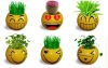 mini plant with smile face pot