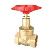 Brass gate valve