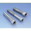 stainless steel torx screw