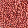 Red Peanut Kernels40/50