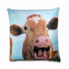 Cartoon printed cushion,canvas photo printed cushion covers