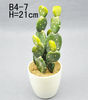 Green Cacti / Decorative Bonsai / Flowers Stinging Cactus in earth/Green Leaves