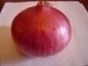 fresh red onion