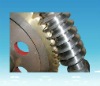 Worm Gear Reducer