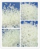 polyethylene filler masterbatch for nonwovens